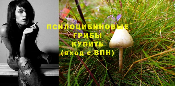 СК Балахна