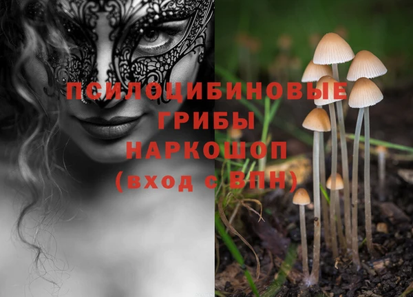 СК Балахна