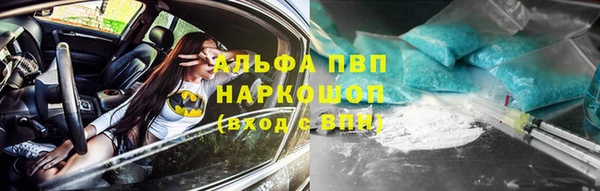 СК Балахна