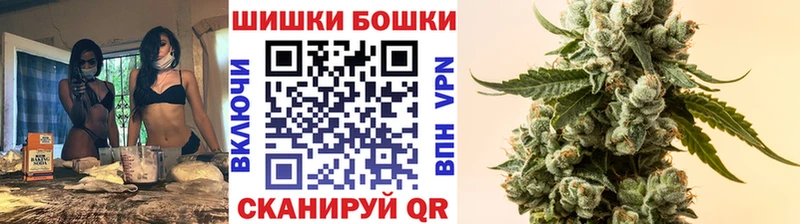 купить наркоту  Кущёвская  Бошки марихуана план 